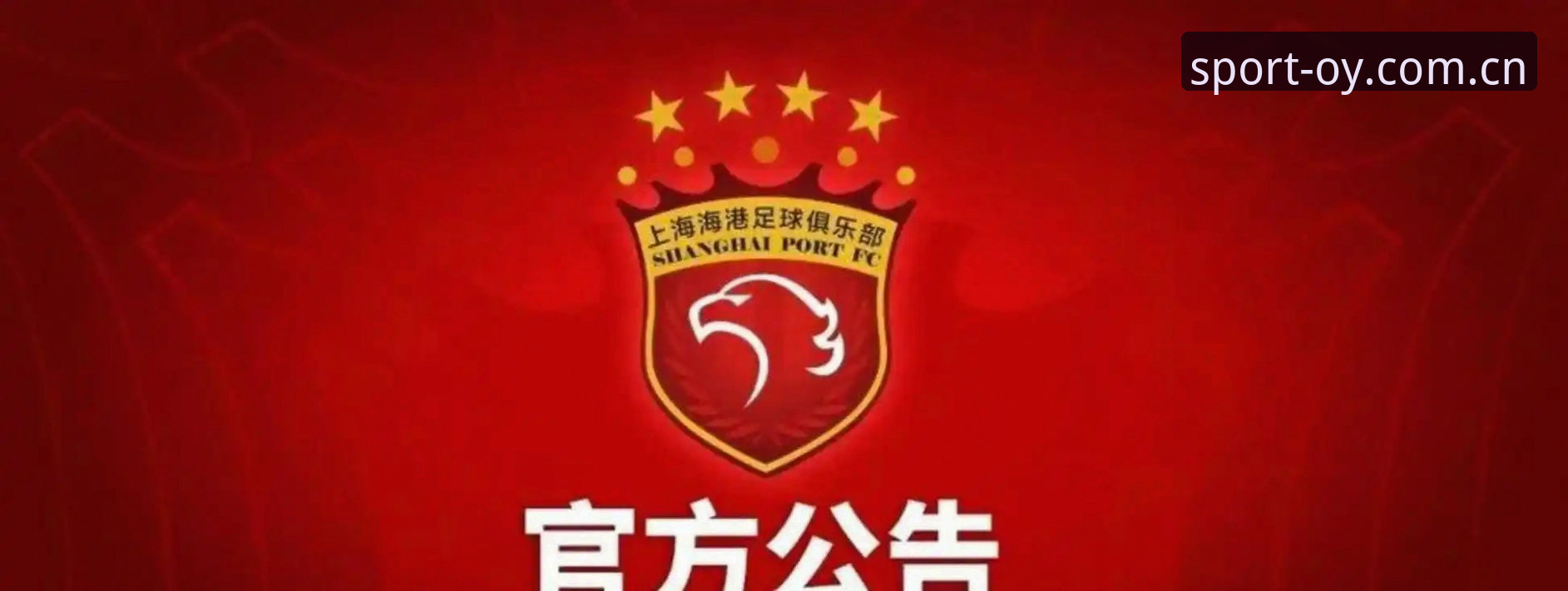 资深用户分享：从足协禁足名单看体育平台信息获取的实战经验